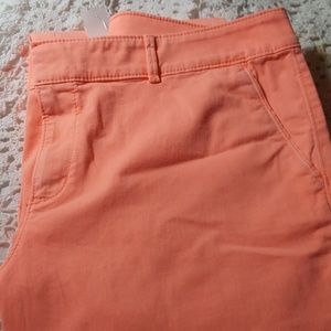 Ann Taylor Loft Orange Soft Chinos Size 16